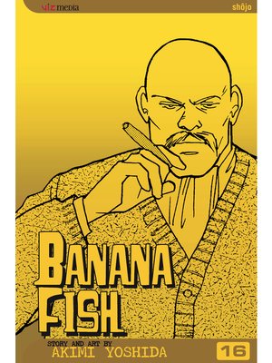 cover image of Banana Fish, Volume 16